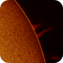solar prominence in h-alpha taken 15062025, nonsens2