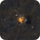 NGC1579, David Wills (PixelSkiesAstro)