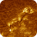 Sun H-alpha: Chromosphere 29.04.2025, Olegs_Astrophotography