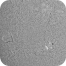 Sun close up of AR4135 in H-Alpha 11th of July 2025, Arne Danielsen