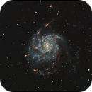 Pinwheel Galaxy (M101), Patrick Jasanis
