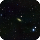 NGC 2841, Manu Oliva
