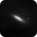NGC6503, Georg N. Nyman
