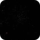M38, the Starfish, Catherine Ryan Hyde