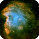 Monkey Head Nebula NGC 2175 SHO, Peter Bresler