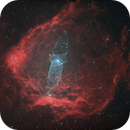 Sh2-129 Flying Bat & OU4 Squid Nebulas, Mark Eby