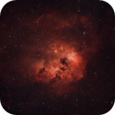 Tadpoles Nebula, Bozo