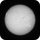 Sun FD in H-Alpha 9th of July 2025, Arne Danielsen