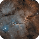 IC 1396a - Elephant Trunk Nebula, Harald Krause