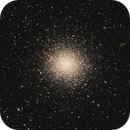 M14, Willem Jan Drijfhout