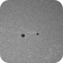 Sun Calcium 393.4 nm 16.06.2025, Olegs_Astrophotography