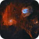 Flaming and Tadpole Nebula with surroundings, Dennis Meng