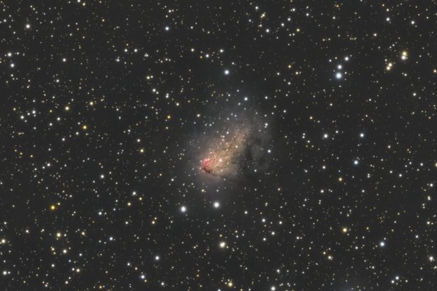 IC 10