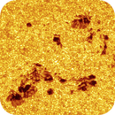 Liquid Sunshine, Laszlo Francsics