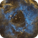 Rosette Nebula in Narrow Band, DrNigel