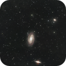 M81 Bode's Galaxy, Tony Barlow
