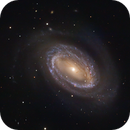 NGC 4725 and a distant NGC 4712, Scott Schneider