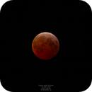 Total Lunar Eclipse March 14, 2025, Denis Labelle