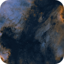 Pelican - Cygnuss wall & North America Nebula, Mads Thodsen-Hede