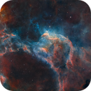 NGC 3572 - The Southern Tadpoles, AstroCatNZ