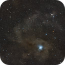 NGC 7023 Iris Nebula, Wolfgang Ransburg