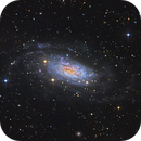NGC 3621 Type SA, Brian Diaz