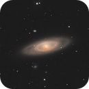 NGC 4274 group: the Saturn galaxy, Xinran Li