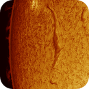solar prominence and filament in h-alpha taken 25062025, nonsens2