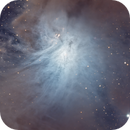 IC 2631 - Dusty Chamaeleon Cloud, Daniel Carter