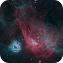 NGC 2020 & NGC 2014 – The Cosmic Reef of the LMC, Neil Corke