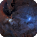 Scorpius Colorful Heart, Wolfgang Promper