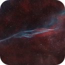 Southern Witch's Broom Nebula - HOLRGB, Claudio Ulloa Saavedra
