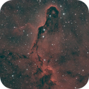 IC 1396A, Elephant's Trunk Nebula, 03-Sept-2024, Ron Lundgren