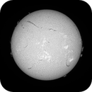 Sun FD in H-Alpha 6th of July 2025, Arne Danielsen