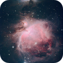 M42, the Great Orion Nebula, Catherine Ryan Hyde