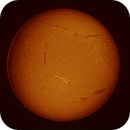 sun full disk in h-alpha taken 24062025, nonsens2