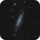 NGC 4236 / Caldwell 3  - Barred spiral galaxy in Draco, Colm O'Dwyer