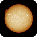 Sun FD in H-Alpha 11th of July 2025 - Colorized, Arne Danielsen
