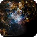 NGC 2070 – Tarantula Nebula (LMC), Rick Mavrovich