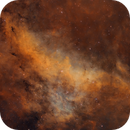 Longhorn Nebula (LBN 251), Starlancer