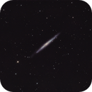 NGC4244 - Silver Needle Galaxy, Michael McNerney