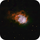 NGC 7538 SHO, Peter Bresler
