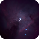 The Trapezium Cluster, a one-hour project, Catherine Ryan Hyde