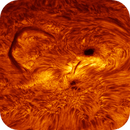 AR4044 in flames, Laszlo Francsics