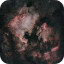 North America Nebula & Pelican Nebula, Andrew Whiter