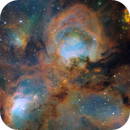 JWST: NIRCam observations of a star forming nebula, Daniel Petzen