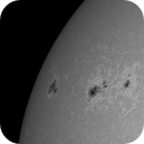 Sun Calcium 393.4 nm 13.06.2025, Olegs_Astrophotography