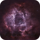 The Rosette Nebula, Catherine Ryan Hyde