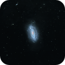 Sunflower Galaxy, Jim