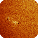 AR14118 AR14117 in h-alpha taken 21062025, nonsens2